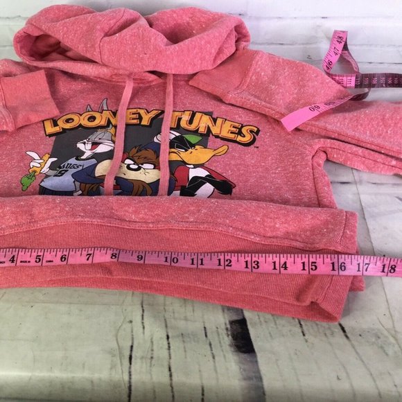 Looney Tunes Bugs Daffy Taz Logo Pullover Hoodie - Picture 7 of 9